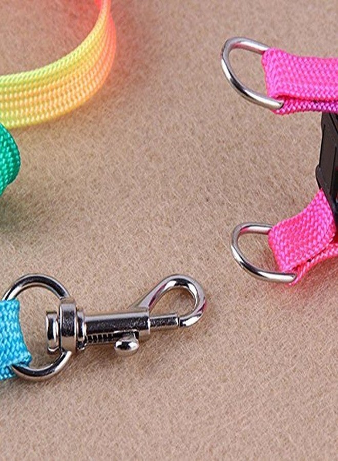 سايج سكوير حزام ومقود جرو من النايلون قابل للتعديل بألوان زاهية، صغير الحجم - Image 4